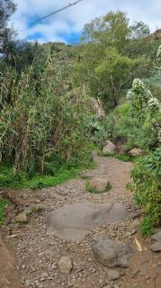 2024-01-GranCan-Barranco_de_los_Cernicalos-005.jpg